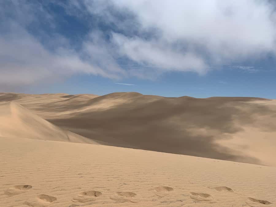 Namibia; Classic Sandwich Harbour Tour - Key points to know before booking