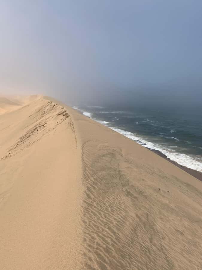 Namibia; Classic Sandwich Harbour Tour - Why Sandwich Harbour is worth your day