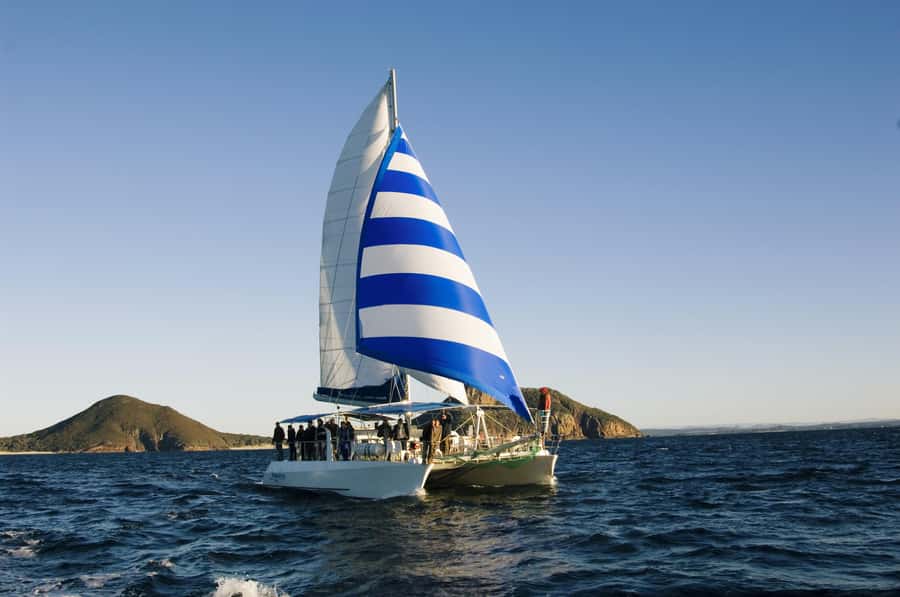 Nelson Bay: Dolphin Watch Cruise and Sail - Key points before you book