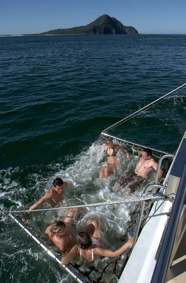 Nelson Bay: Dolphin Watch Cruise and Sail - Is $35 a fair price?