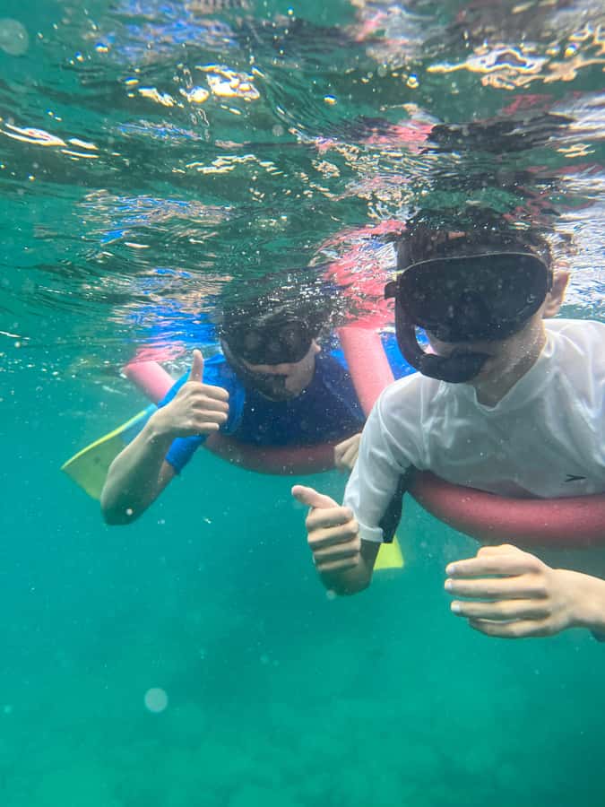 Nelson Bay: Marine Discovery Cruise with Snorkeling - Quick points to know before booking