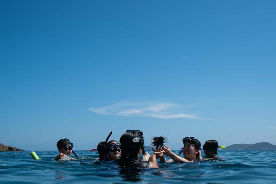 Nelson Bay: Marine Discovery Cruise with Snorkeling - Snorkeling near Cabbage Tree or Fingal Island