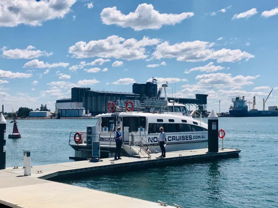 Newcastle: Humpback Whale Watching Cruise and Harbor Tour - Should you book the Newcastle whale cruise?