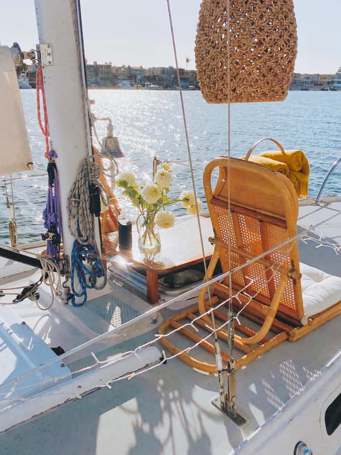 Newport Beach: The Boat People Cruise-Private Harbor Cruises - What the 90 minutes look like