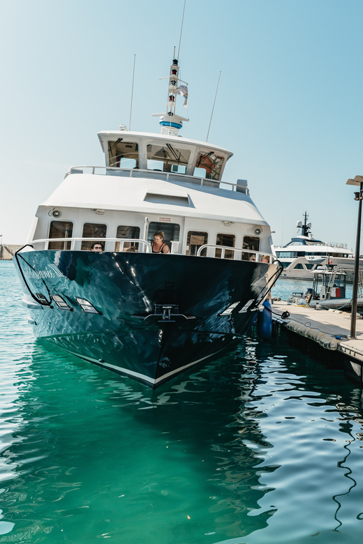 Nice: 1-Hour Sightseeing Cruise to Villefranche Bay - Saint-Jean-Cap-Ferrat and the Villas Along the Water