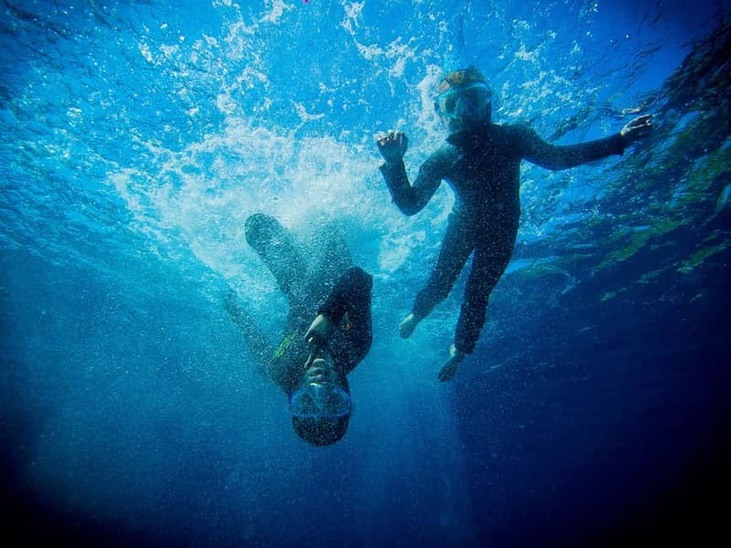 Nice: Snorkeling Speedboat Tour in Villefranche Bay - Key things to know before you book