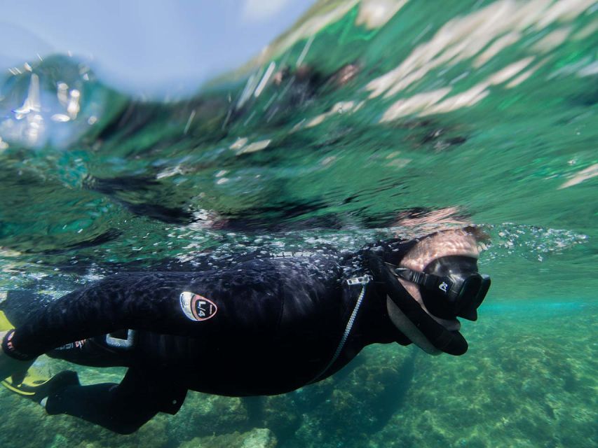 Nice: Snorkeling Speedboat Tour in Villefranche Bay - Who should choose this Nice snorkeling trip?