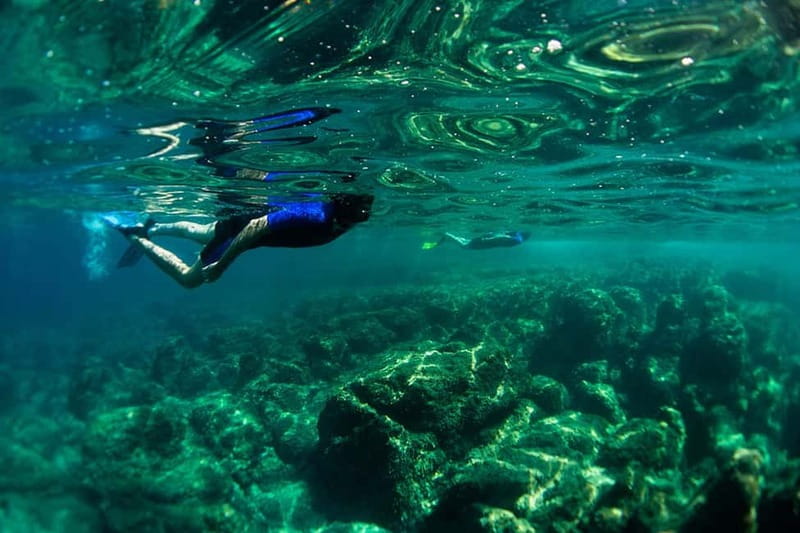 Nice: Snorkeling Speedboat Tour in Villefranche Bay - From Nice’s port to Villefranche Bay