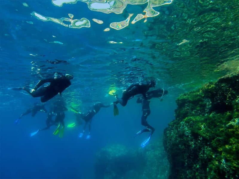 Nice: Snorkeling Speedboat Tour in Villefranche Bay - Why beginners often do well here