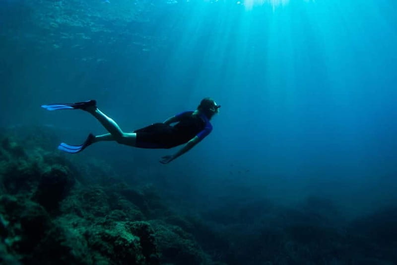 Nice: Snorkeling Speedboat Tour in Villefranche Bay - Getting to the meeting point and what to bring