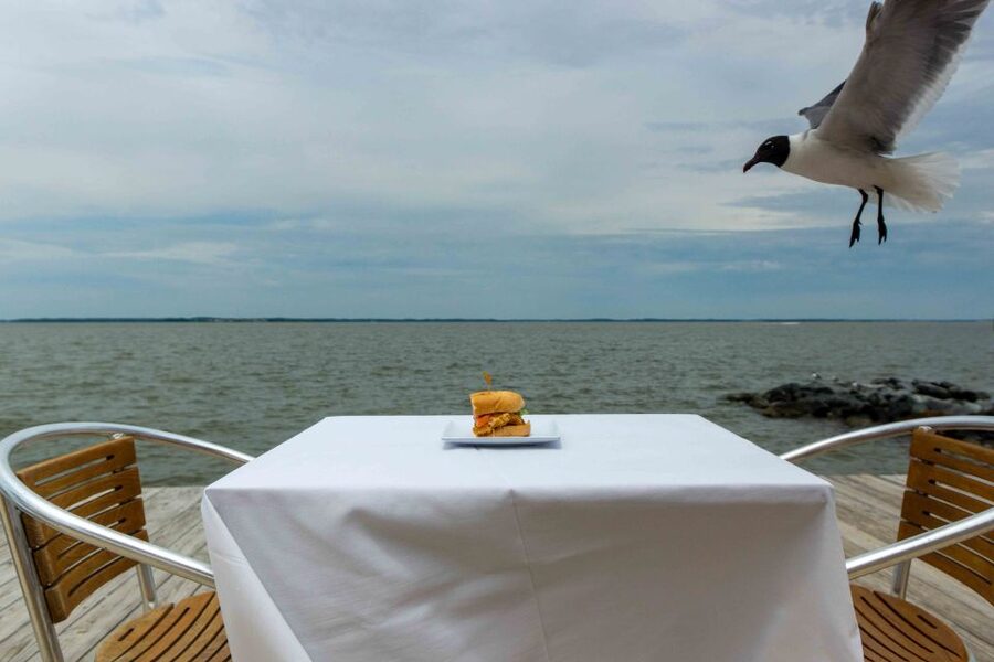 Ocean City: Bay Hopping Food Boat Tour with Tastings - Meeting the Foodie Tour guide
