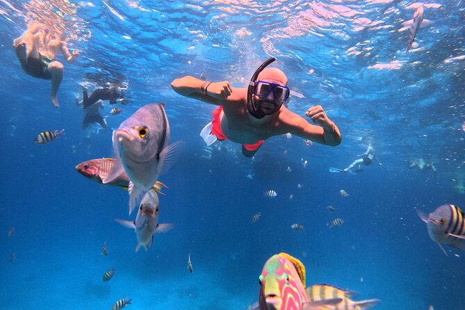 Orange Bay Island Cruise with Breakfast, Lunch and Drinks - Banana boat and sofa rides for an active break