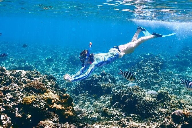 Orange Bay Island Full Day Boat Trip with Lunch - Hurghada - Lunch on board breaks up the day
