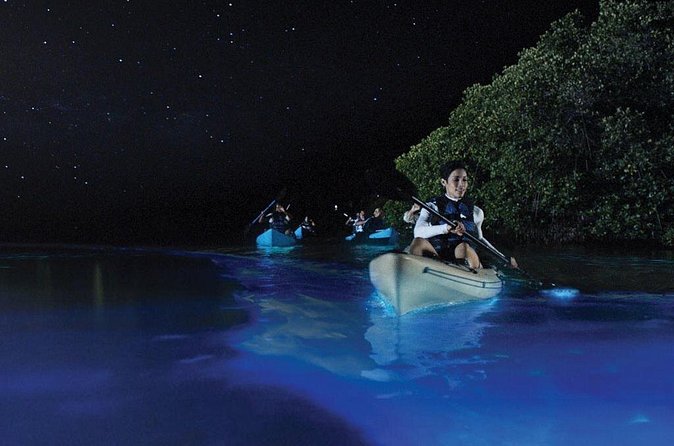 Overnight Bio Bay Kayak Tour in Vieques Island - The return paddle is the main event