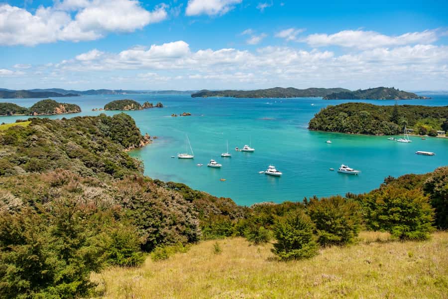 Paihia: Bay of Islands Dolphin Eco Cruise & Island Stopover - Cruising With Room to See the Bay