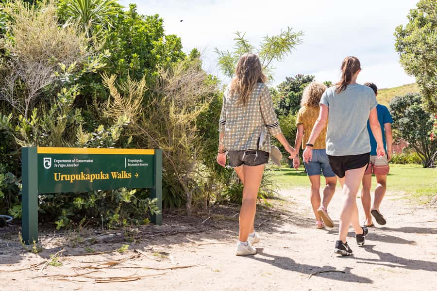Paihia: Bay of Islands Dolphin Eco Cruise & Island Stopover - Who Will Enjoy This Cruise Most