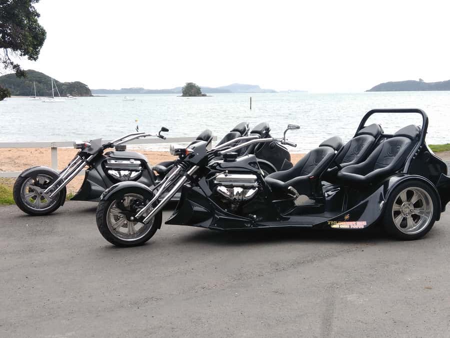 Paihia: Bay of Islands Trike Tour Experience - Key points to know before you book