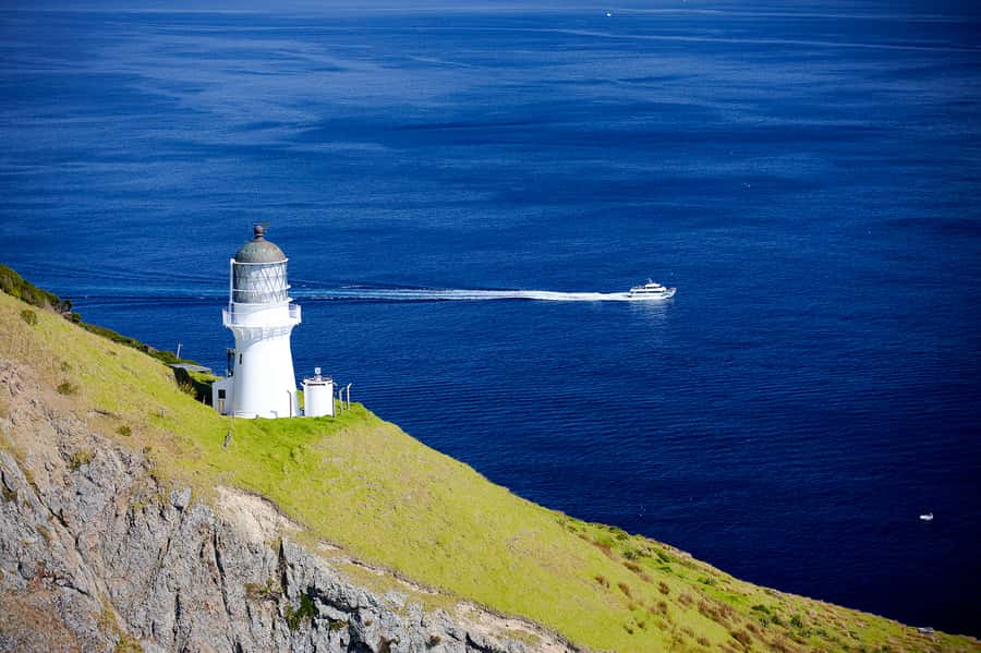 Paihia/Russell: Hole in the Rock and Bay of Islands Cruise - Comfort, seating, and what to bring