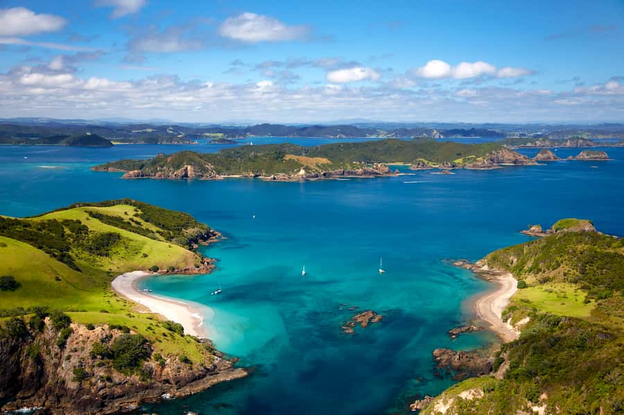 Paihia/Russell: Hole in the Rock and Bay of Islands Cruise - Who should book this cruise