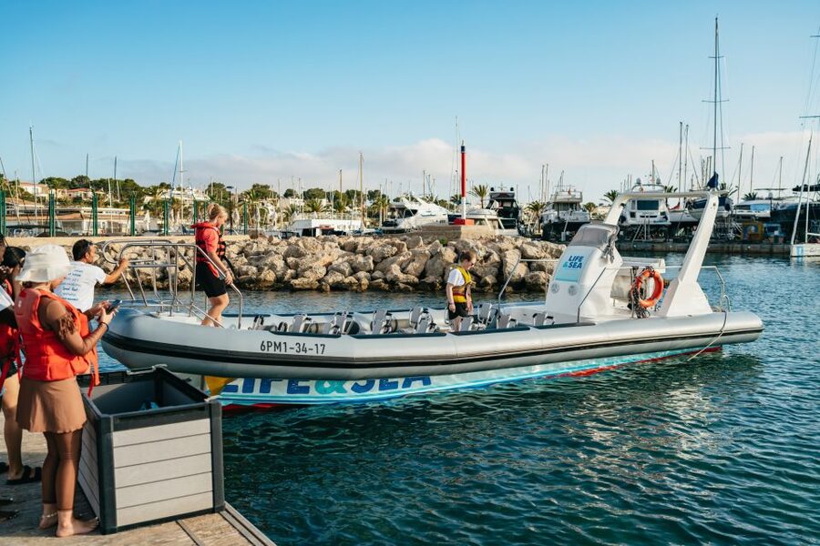 Palma Bay: 1-Hour Speedboat Adventure - Family suitability and limits