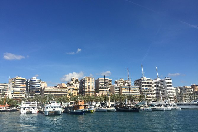 Palma de Mallorca Bay Boat Trip - Who will enjoy this boat ride most?