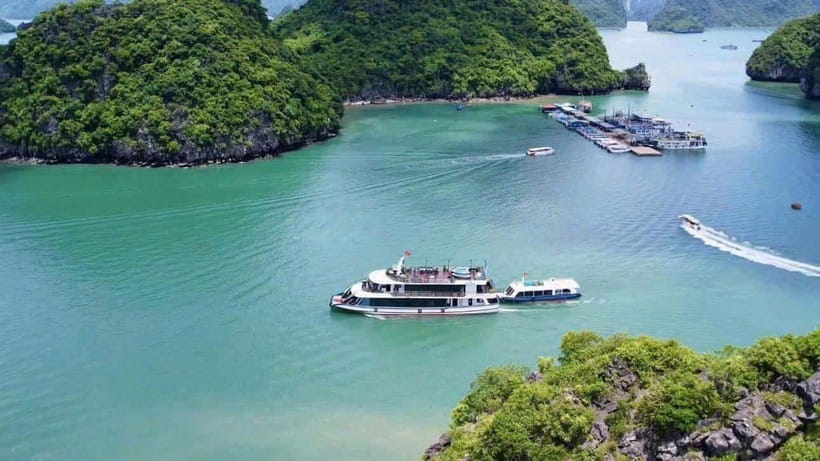 Pamela Cruise: HaLong Bay day trip with Lunch & Activities - Who should choose this Ha Long Bay day trip?