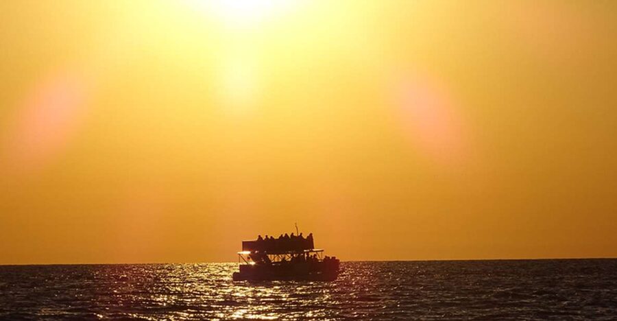 Panama City: Sunset Dolphin Cruise in St. Andrews Bay - A sunset cruise built around dolphins and open water