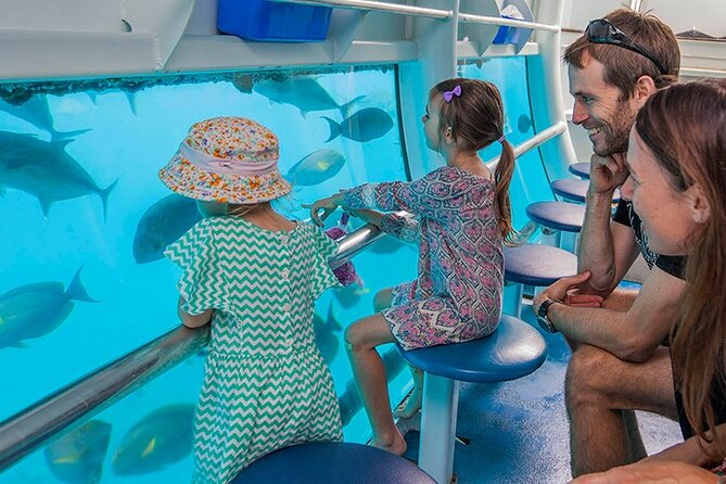 Panorama Semi Submarine Snorkelling Cruise in Makadi Bay - How the $15 price compares with the experience