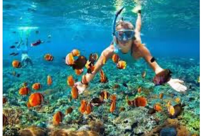 Party Catamaran and Snorkeling Tour in Montego Bay - Is $105.85 good value?