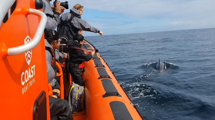 Penzance: Mounts Bay Wildlife-Watching Boat Trip - Who will enjoy this trip most?