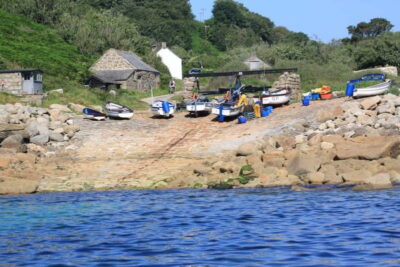 Penzance: Mounts Bay Wildlife-Watching Boat Trip