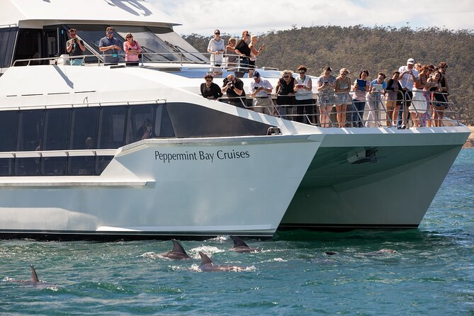 Peppermint Bay Cruise & Lunch - Key points to know before you book