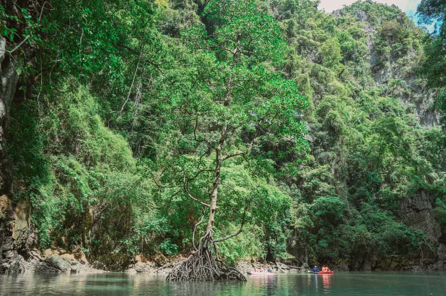 Phang Nga Bay Day Tour & Canoeing by Big Boat (Not crowded) - James Bond Island and the famous photo