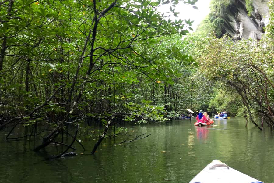Phang Nga Bay: Early Bird James Bond & Beyond Tour - Who should book it, and who should skip it