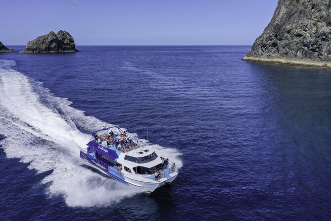 Phantom Sailing Bay of Islands - How the price compares with the experience