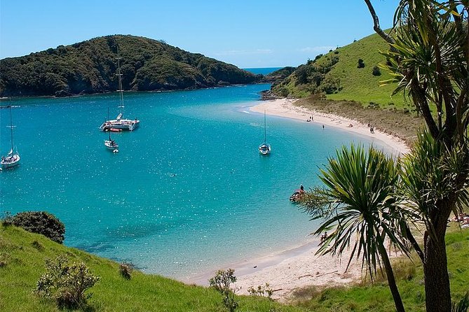 Phantom Sailing Bay of Islands - Who should book Phantom Sailing?