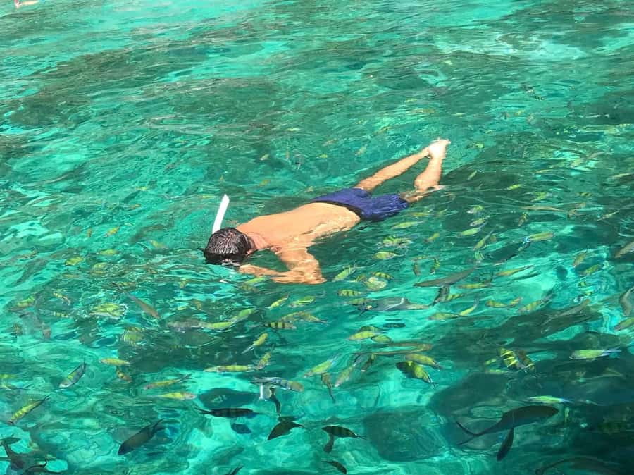 Phi Phi: Private Maya Bay Longtail Boat Tour with Snorkeling - A Final Swim at Shark Point
