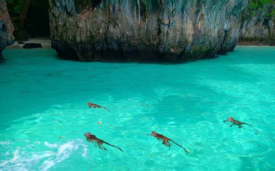 Phi Phi: Sunrise & Beat The Crowds to Maya Bay by Speedboat - Practical packing and comfort advice