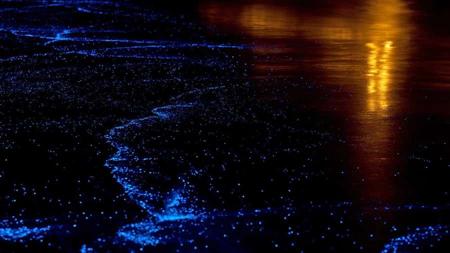 Phuket/Khao Lak: Phang Nga Bay's Grottoes & Golden Hour Glow - The boat ride gives you time to settle in