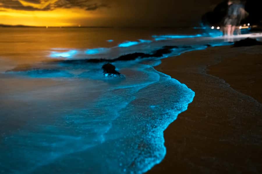 Phuket: Phang Nga Bay Bioluminescent Plankton and Sea Canoes - Speedboat across the bay