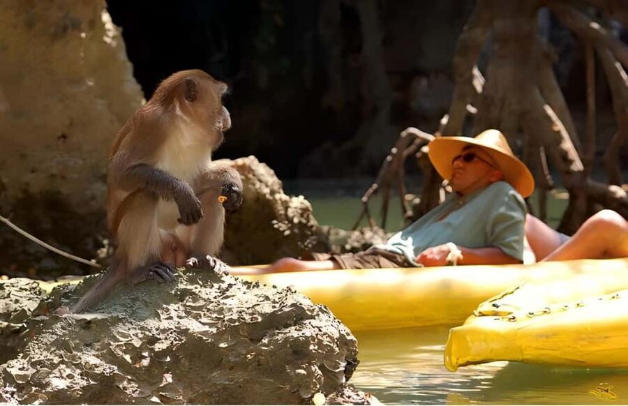 Phuket: Phang Nga,Hong & James Bond Islands by Big Boat - Why This Phang Nga Bay Cruise Works