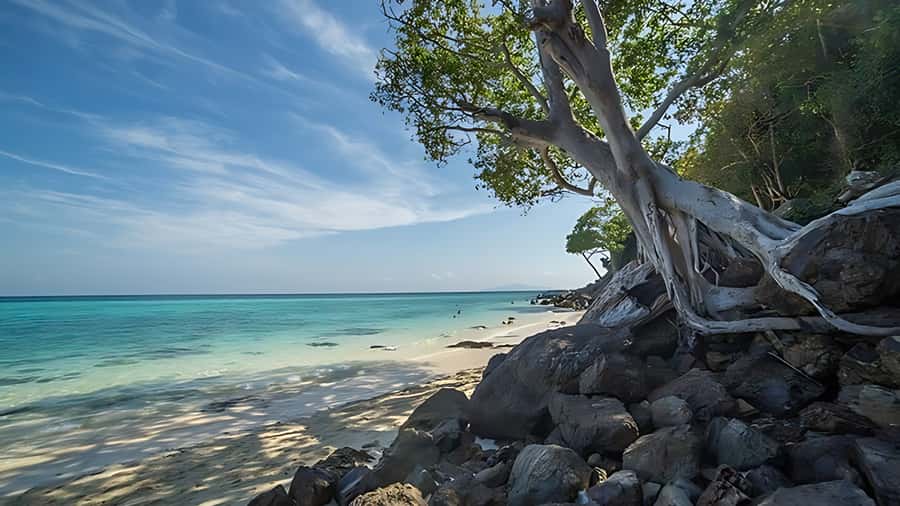 Phuket; Phi Phi, Maya Bay, Bamboo or Khai Island Speedboat - Boat comfort, swimming, and what to pack