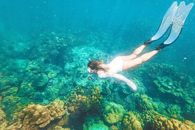 Phuket Speedboat Day Tour to Phi Phi & Maya Bay Highlights - Loh Sama Bay and Maya Bay