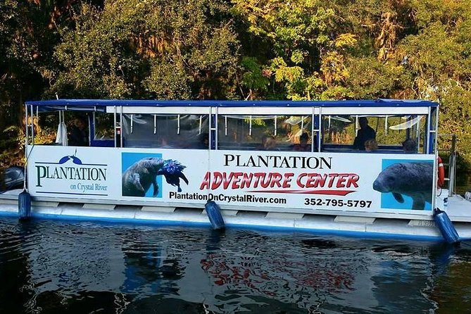 Plantation's Kings Bay Sunset Cruise - Cruising through Kings Bay in search of wildlife