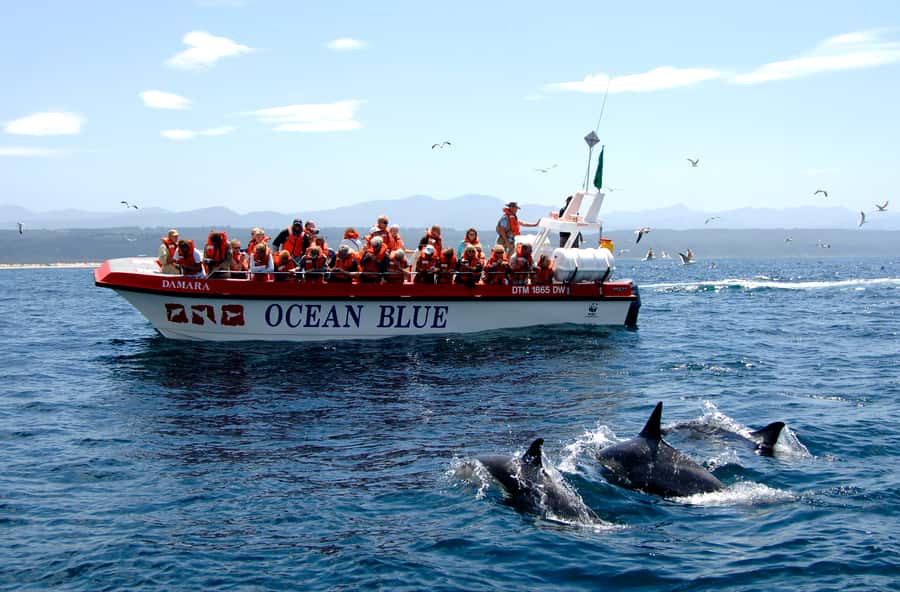 Plettenberg Bay: Dolphin and Marine Boat Tour - Along Keurbooms Beach toward Arch Rock