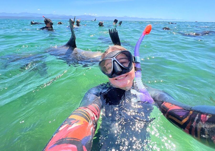 Plettenberg Bay: Seal Viewing Boat Trip - Seabirds, Whales, and Dolphins