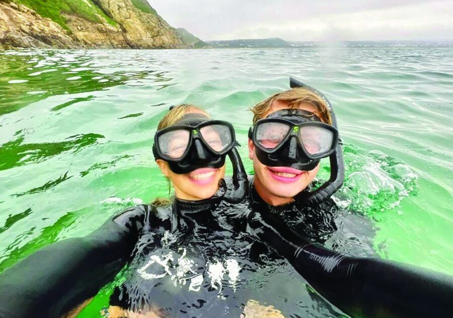 Plettenberg Bay: Seal Viewing Boat Trip - Should You Book the Plettenberg Bay Seal Trip?