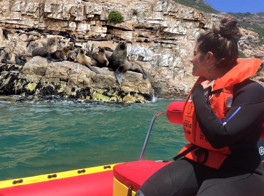Plettenberg Bay: Seal Viewing Boat Trip - Watching the Cape Fur Seals at Robberg