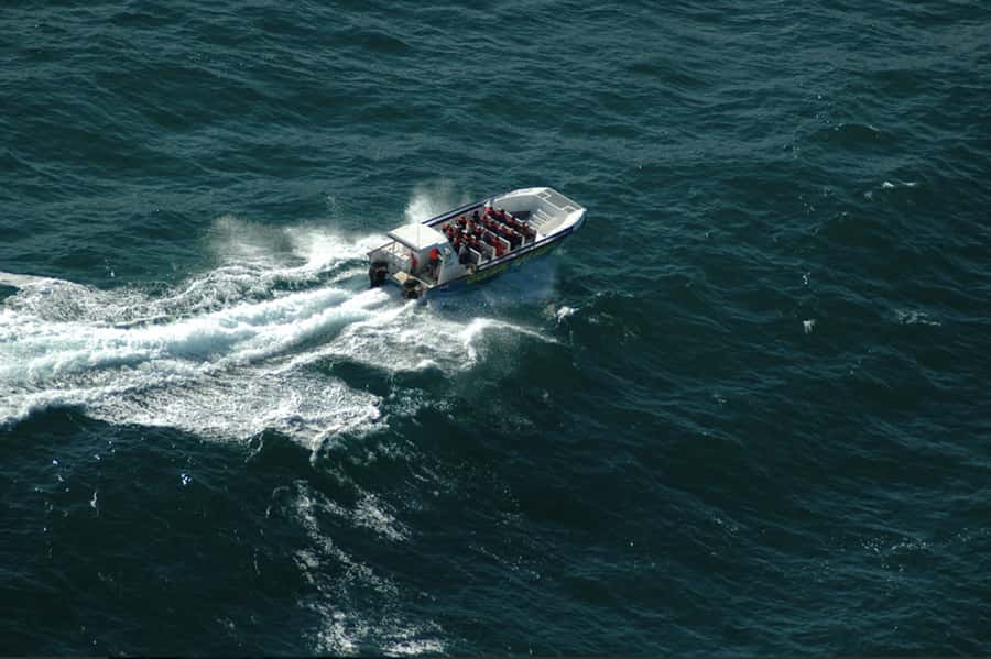 Plettenberg Bay: Whale Watching Boat Cruise - Why the beach launch is part of the attraction