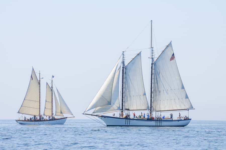 Portland: Schooner Tall Ship Cruise on Casco Bay - Meeting Wendameen or Bagheera